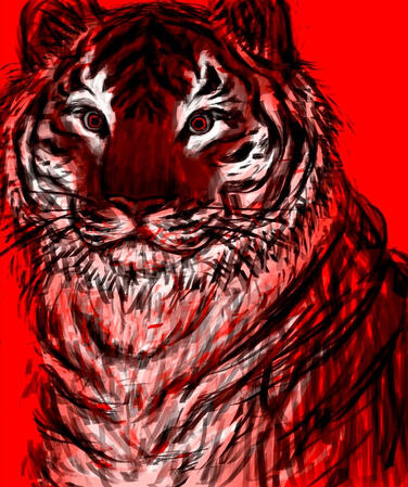 Tiger Doodle Tiger Doodle